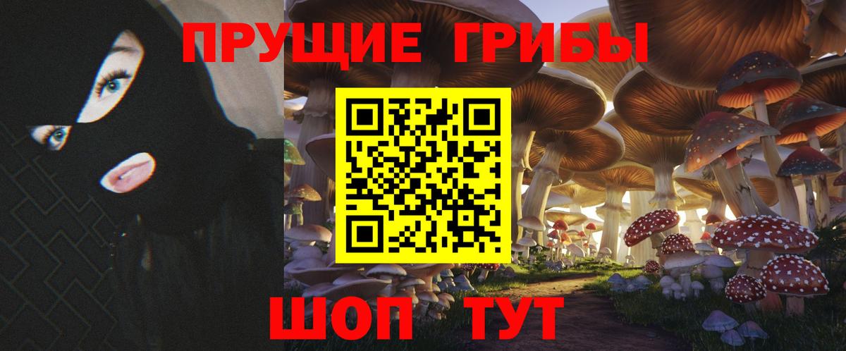 Галлюциногенные грибы прущие грибы Смоленск
